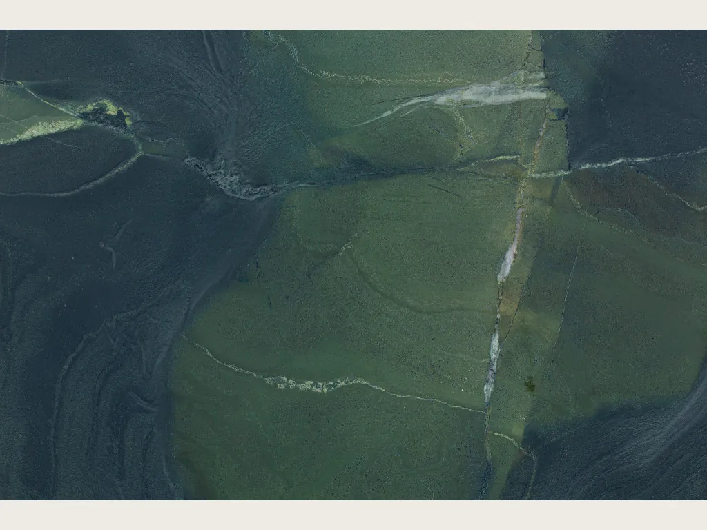 Placa de cuarcita verde Avocatus: verde oliva oscuro nublado con pocas vetas blancas finas y quebradas