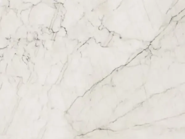 Placa de Cuarcita Tahiti: fondo blanco cálido con una red de vetas finas gris y negro