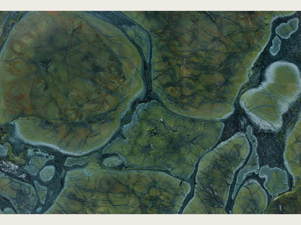 Placa de cuarcita verde Victoria Regia: mosaico de celdas redondeadas verde oliva con bordes azul petróleo oscuro