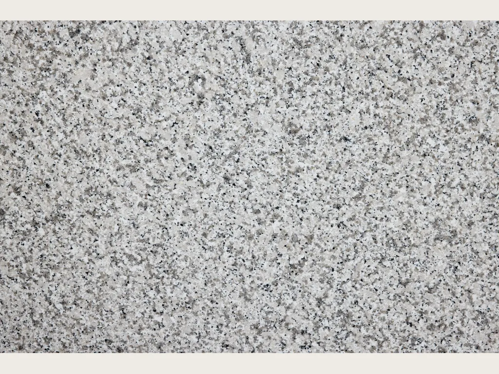 Placa de granito blanco Sardo Bianco: fondo blanco grisáceo de grano grueso con cristales grises y negros (otra placa)
