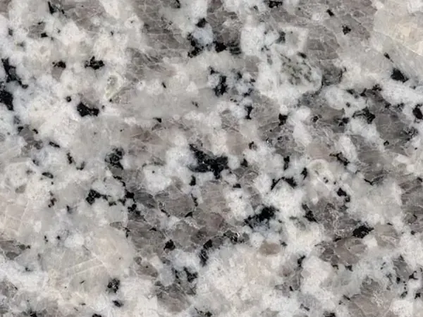 Placa de Granito Sardo Bianco: fondo blanco grisáceo de grano grueso con cristales grises y negros
