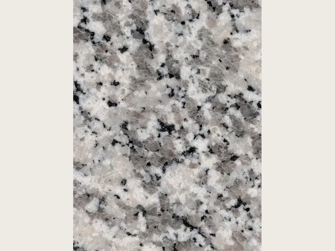 Placa de granito blanco Sardo Bianco: fondo blanco grisáceo de grano grueso con cristales grises y negros