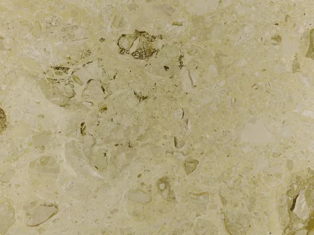 Detalle del Mármol Alma: fósiles oliva y marrón dispersos sobre el fondo crema verdoso
