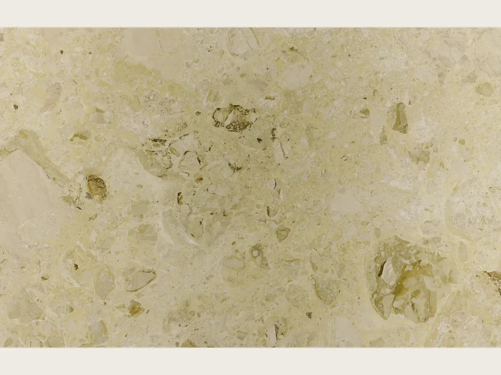 Placa de mármol beige Alma: fondo beige verdoso con inclusiones fósiles redondeadas en verde oliva y marrón