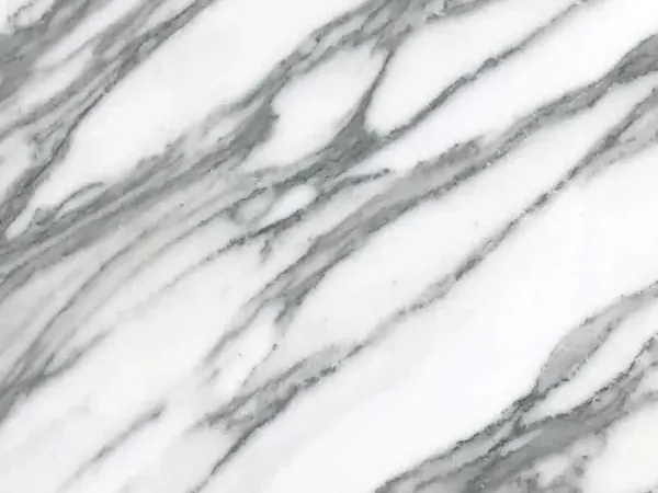 Placa de Mármol Arabescato Apuano: ramas gruesas de gris oscuro ramificadas sobre blanco, en diagonal