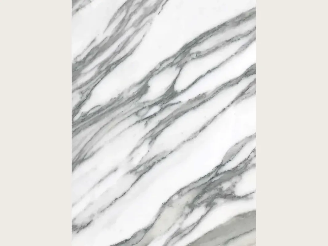 Placa de mármol blanco Arabescato Apuano: ramas gruesas de gris oscuro ramificadas sobre blanco, en diagonal