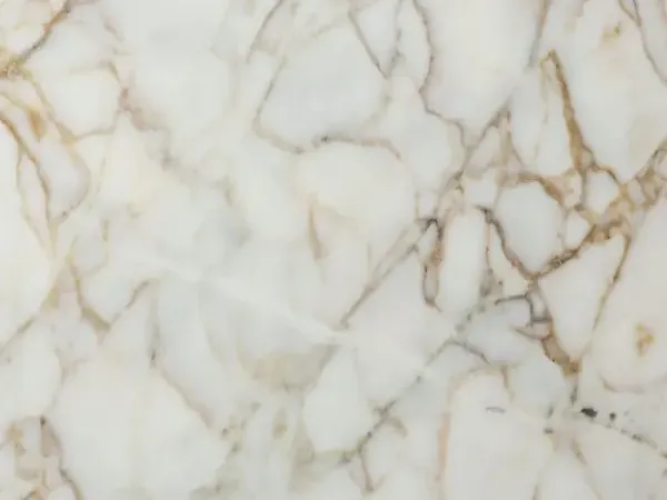 Placa de Mármol Arabescato Oro: fondo blanco con red de vetas finas marrón dorado