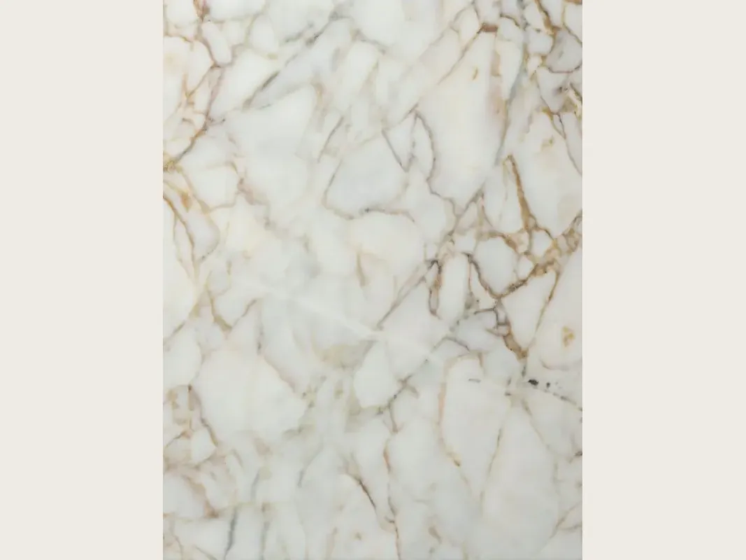 Placa de mármol blanco Arabescato Oro: fondo blanco con red de vetas finas marrón dorado