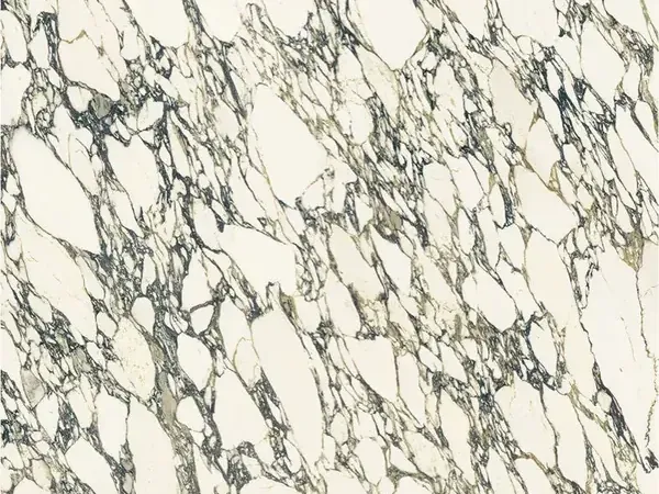 Placa de Mármol Arabescato Corchia: red densa de vetas gris oscuro y negro sobre fondo blanco cálido