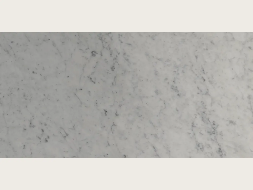 Placa de mármol blanco Carrara: fondo blanco grisáceo con una red de vetas grises finas y difusas