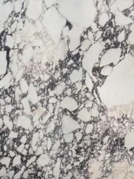 Mármol Breccia Capraia