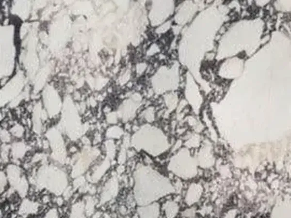 Placa de Mármol Breccia Capraia: fragmentos blancos dentro de una red gris oscura y violeta