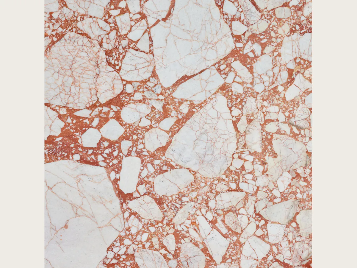 Placa de mármol blanco Calacatta Antique: fragmentos blancos unidos por una matriz rojo coral