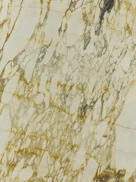 Mármol Calacatta Monet Gold