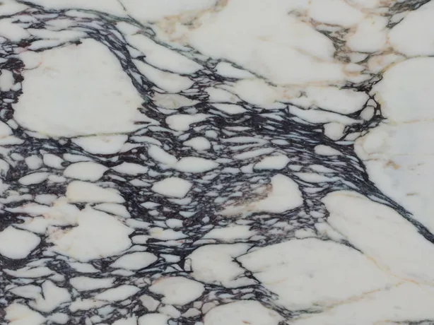 Detalle del Mármol Calacatta Viola: la red violeta oscura cerrándose entre los fragmentos blancos
