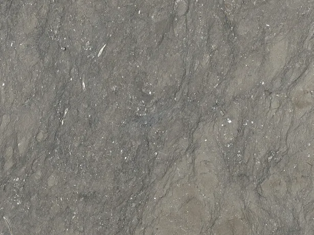 Detalle del mármol gris Ebano: puntos claros y nubes suaves sobre el fondo gris pardo
