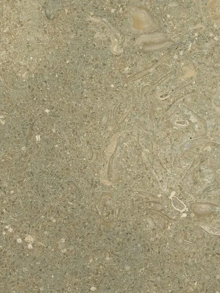 Mármol Fossil Green