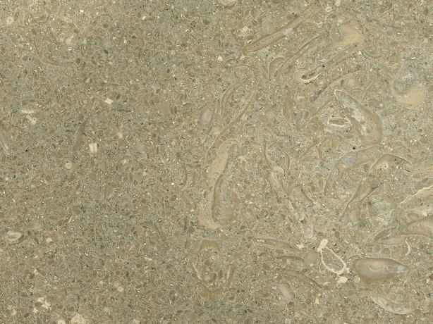 Detalle del Mármol Fossil Green: conchas y secciones de fósiles beige claro sobre el moteado verde