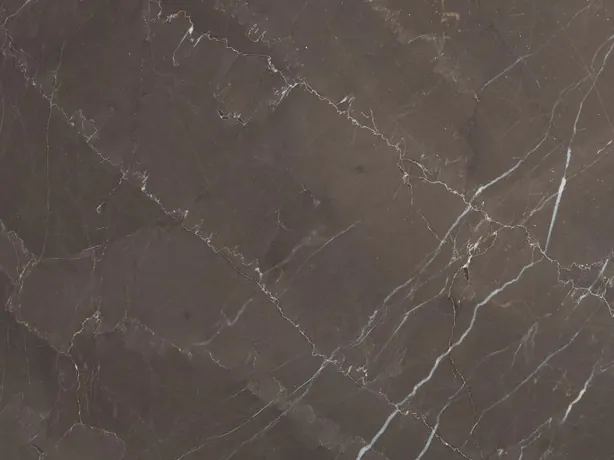 Detalle de la red de vetas blancas finas sobre el fondo topo del Mármol Gris Amani