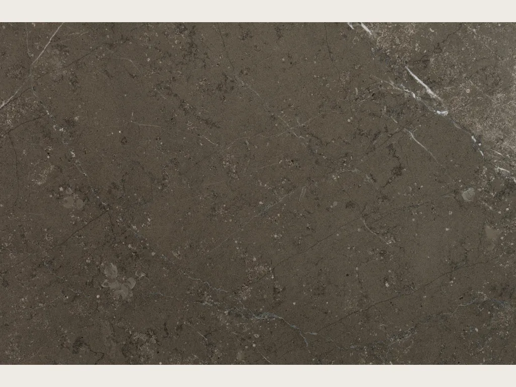 Placa de Mármol Gris Antracite: fondo gris topo moteado de motas claras y una veta blanca fina