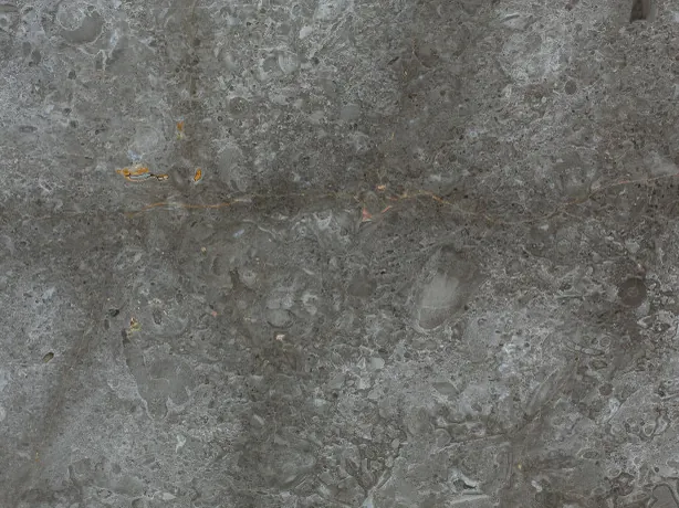 Detalle del Mármol Gris Billiemi: manchas claras en forma de nube sobre el gris pulido