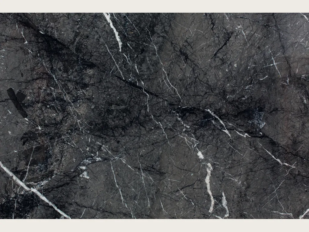Placa de mármol negro Grigio Carnico: fondo negro grisáceo con vetas blancas ramificadas y red gris tenue
