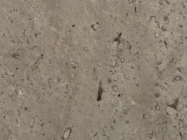 Detalle del Mármol Lipica Fiorito: fósiles oscuros pequeños sobre el fondo gris beige mate