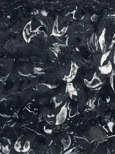 Mármol Negro Boreale