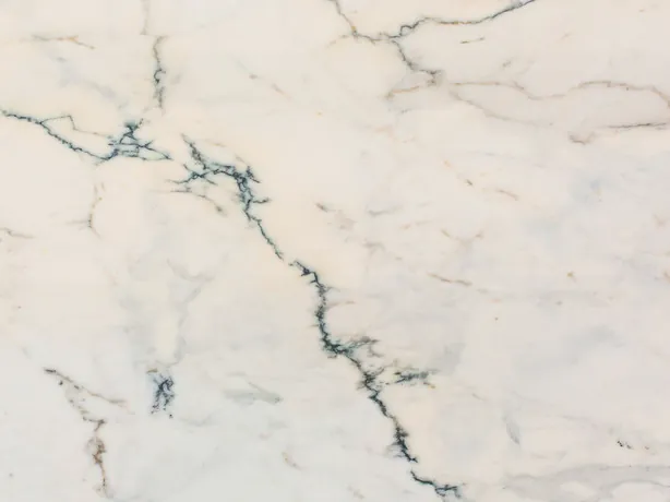 Detalle de las vetas ramificadas verde azulado del Mármol Paonazzo