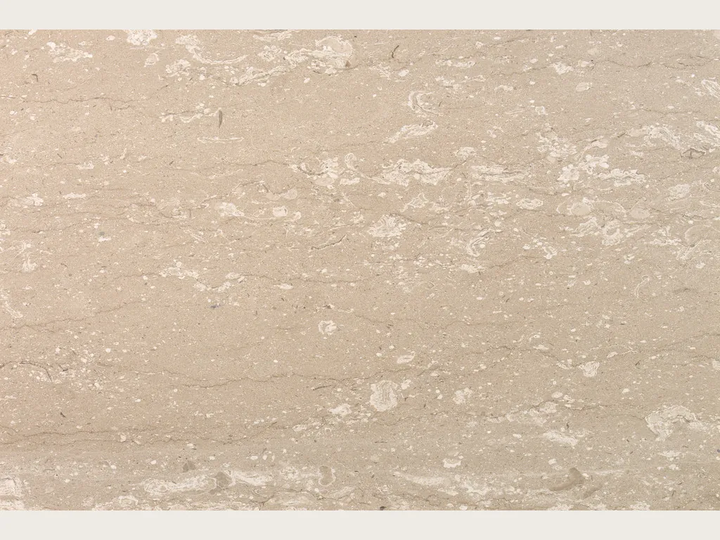 Placa de mármol beige Perlatino: beige con manchas crema pequeñas de fósiles alineadas en horizontal