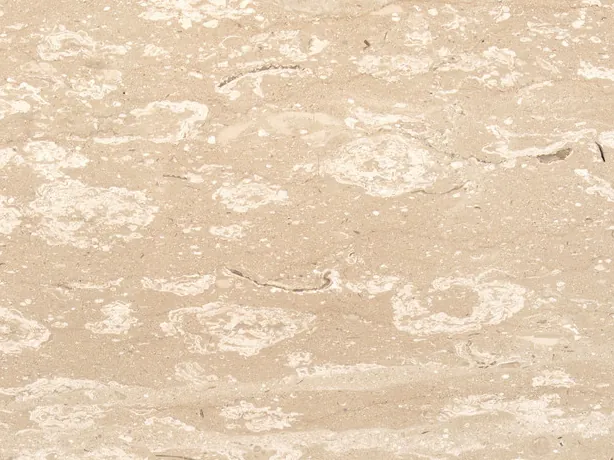 Detalle del Mármol Perlato Royal: fósiles crema redondeados sobre el beige mate