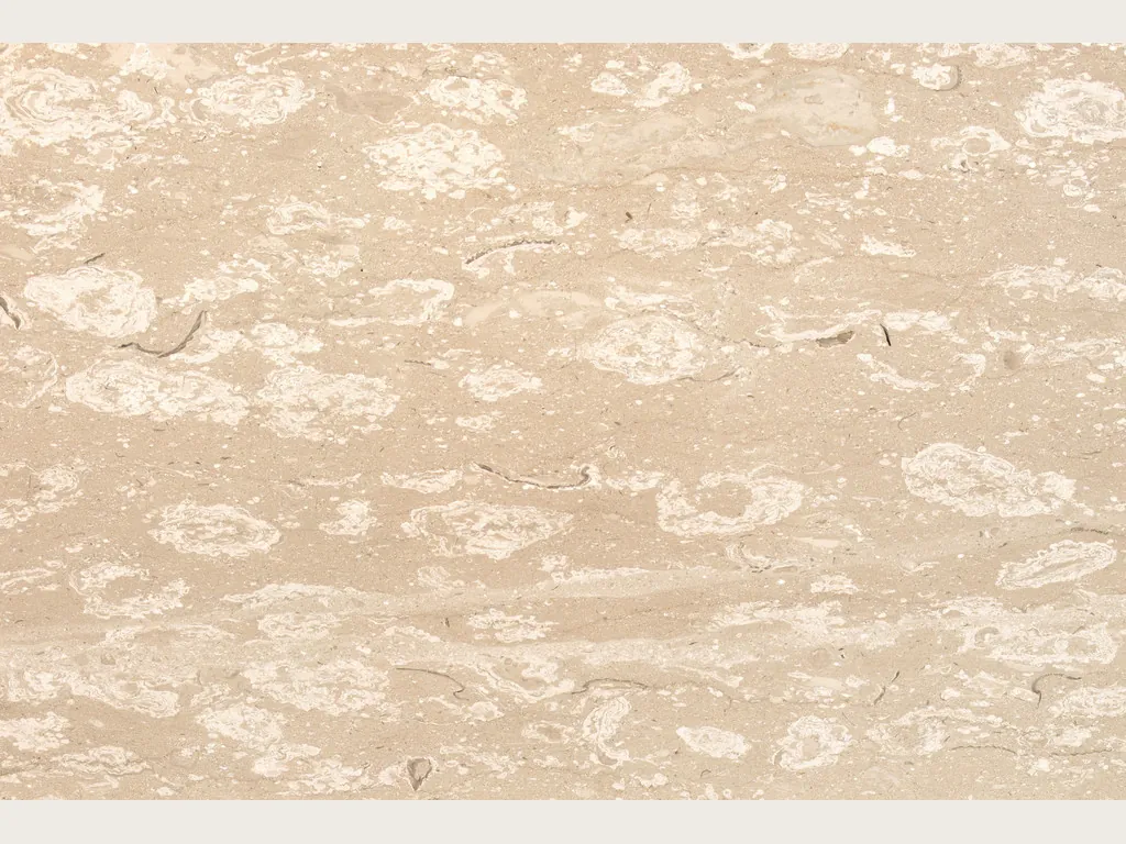 Placa de mármol beige Perlato Royal: fondo beige con manchas crema redondeadas de fósiles en franjas horizontales