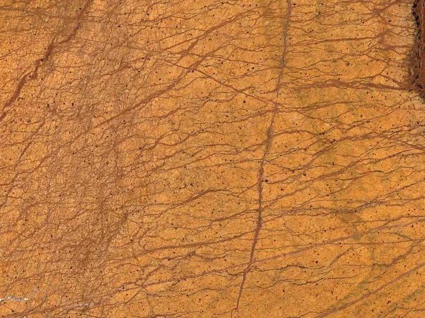 Detalle del Mármol Picasso Gold: trazos marrón rojizo finos y gruesos sobre el naranja ocre pulido