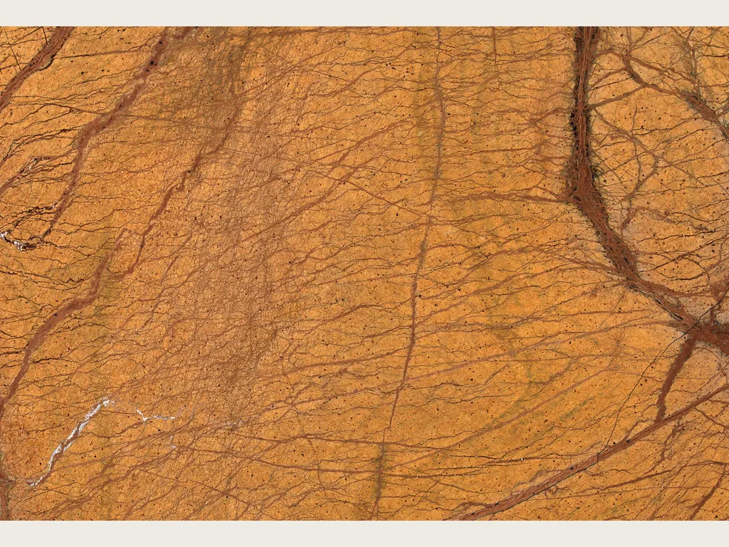 Placa de mármol naranja Picasso Gold: naranja ocre con red de vetas marrón rojizo ramificadas