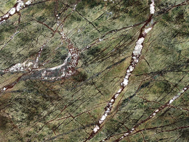Detalle del mármol verde Picasso Green: vetas marrón rojizo finas y trazos blancos brechados sobre el verde oliva