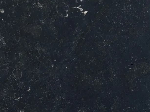 Detalle del Mármol Pierre Bleu: motas claras y fósiles sobre el fondo negro azulado mate