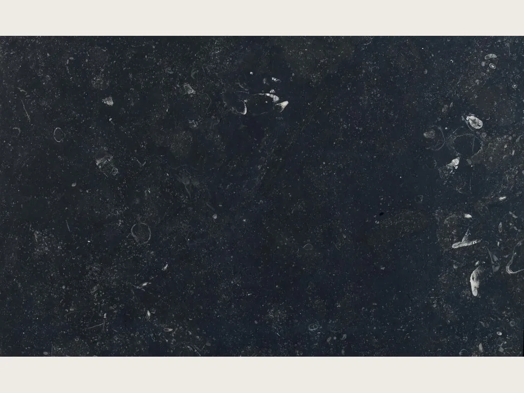 Placa de mármol negro Pierre Bleu: fondo negro azulado con motas y fósiles claros dispersos