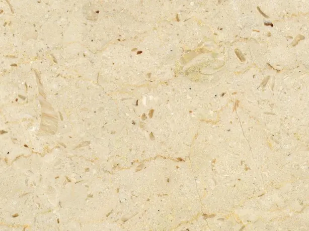 Detalle del Pietra Ducale: fragmentos fósiles pequeños y puntitos marrones sobre el crema