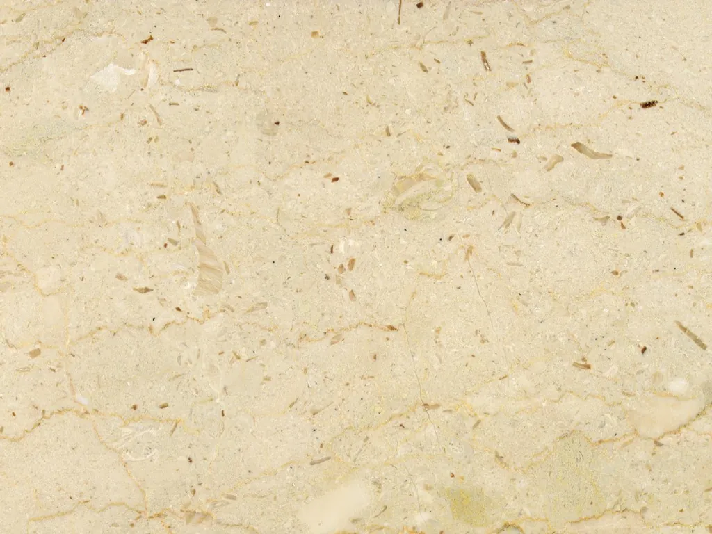 Placa de mármol beige Pietra Ducale: fondo crema amarillento con fragmentos de fósiles y puntos marrones
