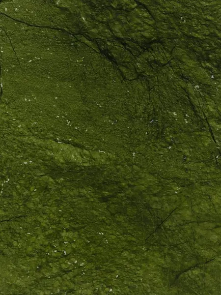 Mármol Verde Giada