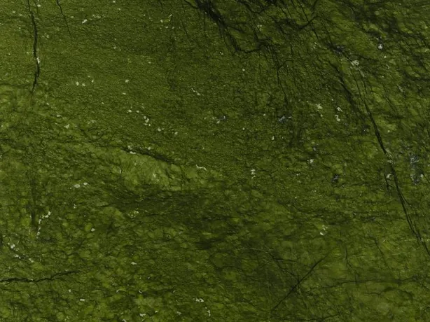 Detalle del Mármol Verde Giada: nubes de verde oliva y finas grietas oscuras con brillo de pulido