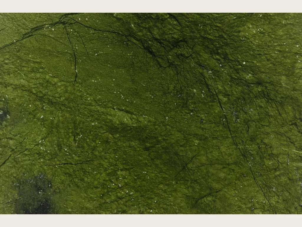 Placa de Mármol Verde Giada: verde oliva intenso con nubes de tono y vetas finas verde oscuro