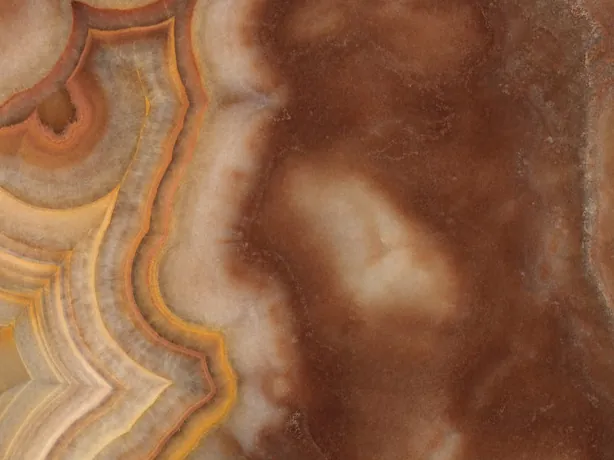Detalle del Ónix Sultano: bandas naranja y crema onduladas en primer plano