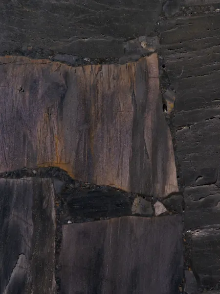 Madera Petrificada Negra, Corte Inverso