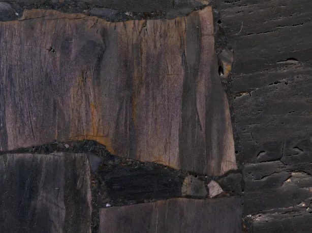 Detalle de la Madera Petrificada Negra, Corte Inverso: fibras verticales y horizontales en piezas mate