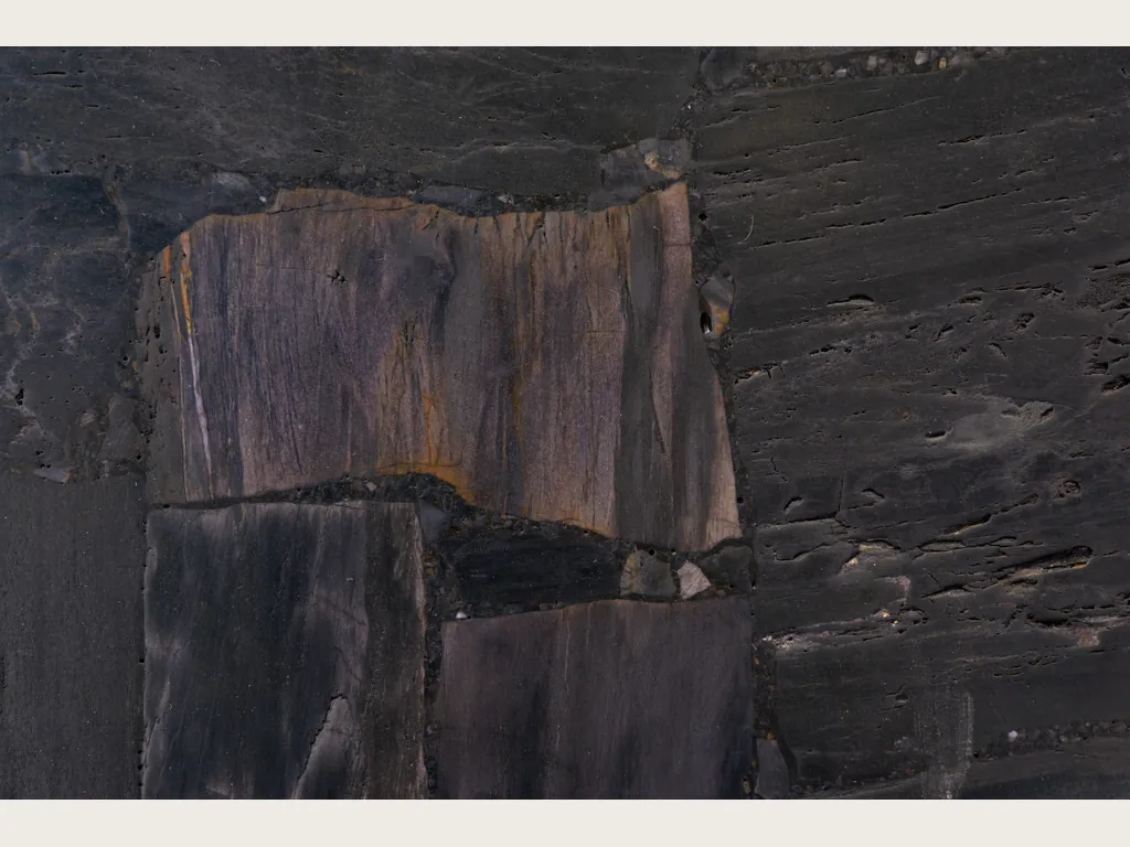 Placa de Madera Petrificada Negra, Corte Inverso: mosaico de piezas oscuras con fibra visible y una pieza marrón grisácea al centro