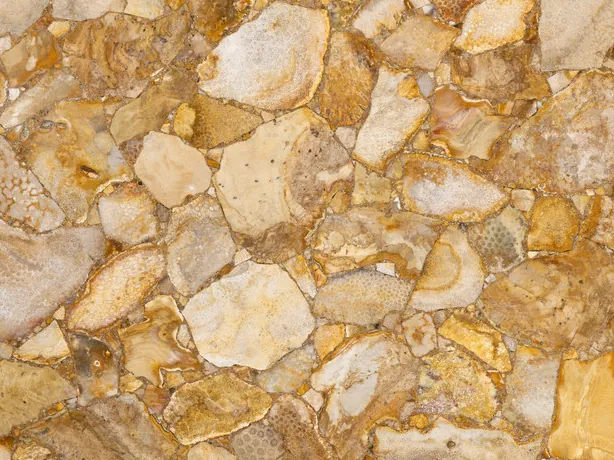 Detalle del Coral Fósil: mosaico denso de fragmentos beige y crema con brillo de pulido