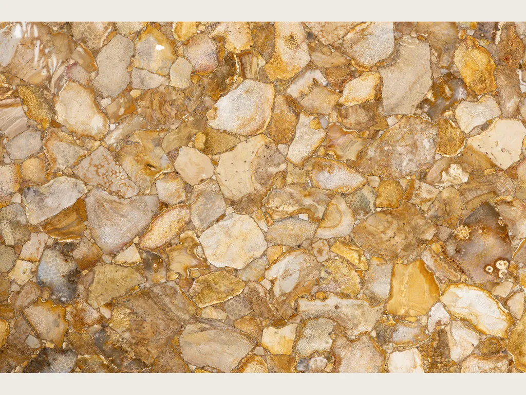 Placa de Coral Fósil: fragmentos angulosos beige y crema sobre una base dorada ocre, pulido brillante