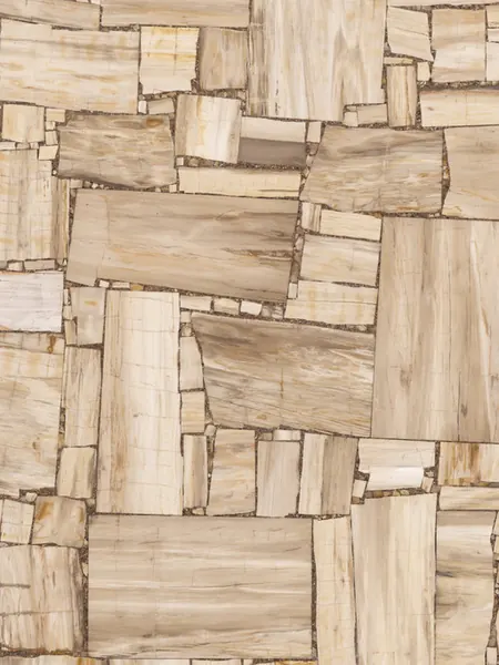 Madera Petrificada Blanca, Corte Inverso