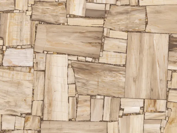 Detalle de las piezas rectangulares y su fibra en la Madera Petrificada Blanca, Corte Inverso